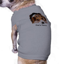 Cute and Adorable Beagle Dog Clothing