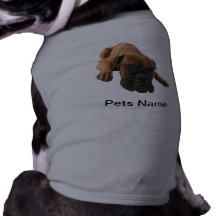 Cute and Adorable Boxer with glasses Pet Clothing