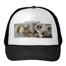 Cute animail hat