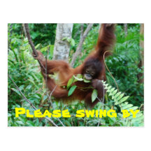 Cute Animal Swingers Party Invitation Postcards
