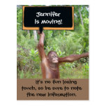 Cute Animals Change of Address Post Card