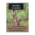 Cute Animals Change of Address postcards