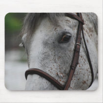 Cute Appaloosa Horse Mouse Pad