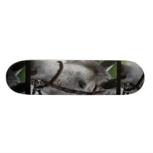 Cute Appaloosa Horse Skateboard