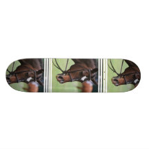 Cute Arabian Horse Skateboard