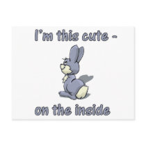 Cute As A Bunny