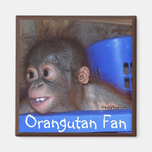 Cute Baby Animals Refrigerator Magnets