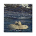 Cute Baby Bears & Mother Refrigerator Magnets