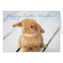 Cute Baby Bunny Happy Easter Design Card