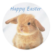 Cute Baby Bunny Happy Easter Design Round Stickers