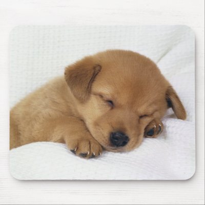 Cute Baby Dog Mouse Pad by UniquePaper