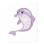 cute baby dolphin post cards