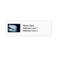 Cute Baby Feet Blue Baby Labels