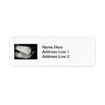 Cute Baby Feet  Unisex Yellow Baby Return Address Label