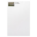 Cute Baby Geese Photo Stationery Paper