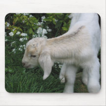 Cute Baby Goat Mouse Pad