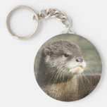 Cute Baby Otter Key Chains