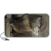 Cute Baby Otter Travel Speaker