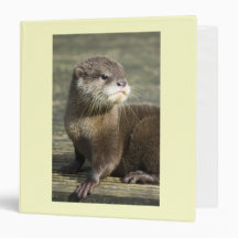 Cute Baby Otter Vinyl Binders
