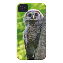 Cute Baby Owl Case-Mate iPhone 4 Case