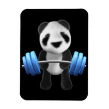 Cute baby panda bear powerlifter in 3d (editable) magnets