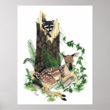 Cute Baby Whitetail Deer Fawn and Raccoon Print