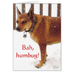 Cute Bah, Humbug! Grumpy Red Cattle Dog Diva Greeting Card