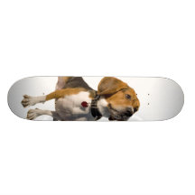 Cute Beagle Dog Skate Boards