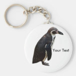 Cute Black and White Humboldt Penguin Keyring Keychain