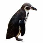 Cute Black and White Humboldt Penguin Sculpture photo sculptures