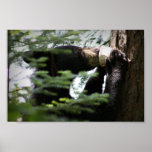 Cute Black Bear Cub From The Cup Posters
