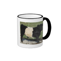 Cute Black Belted Galloway Calf Mug