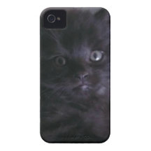 Cute Black Kitten iPhone 4 Case