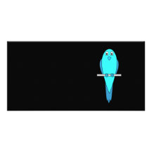 Cute Blue Bird. Parakeet. Black Customized Photo Card