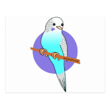 Cute Blue Budgie Post Cards
