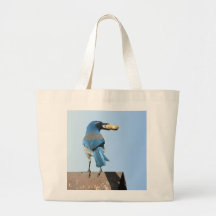 Cute Blue Jay Bird & Peanut Bags
