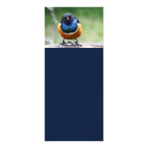 Cute Bluebird Personalized Invitation