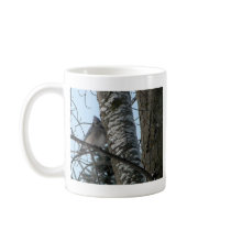 Cute bluejay coffee mugs