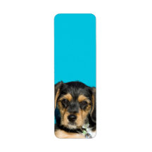 Cute Borkie Puppy Custom Return Address Label
