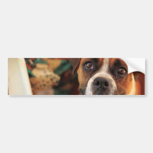 Cute Boxer Bumper Sticker