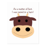 Cute brown cow postcard