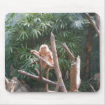 Cute Brown Monkey On The Tree Mouse Pad