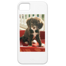 Cute Brown Puppy iPhone case iPhone 5 Cover