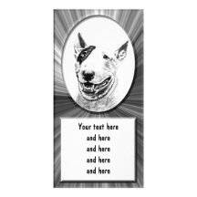 Cute Bull Terrier dog art Photo Card