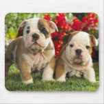 Cute Bulldog Puppy Dogs in Flowers Mousepad