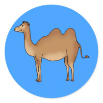 Cute camel