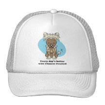 Cute Cartoon Chinese Crested Hat