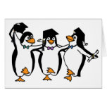 Cute Cartoon Graduating Penguins Greeting Cards