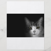 Cute Cat Full Color Flyer