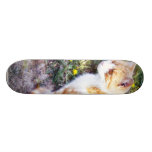 Cute Cat Sitting On The Path On The Garden Skate Board